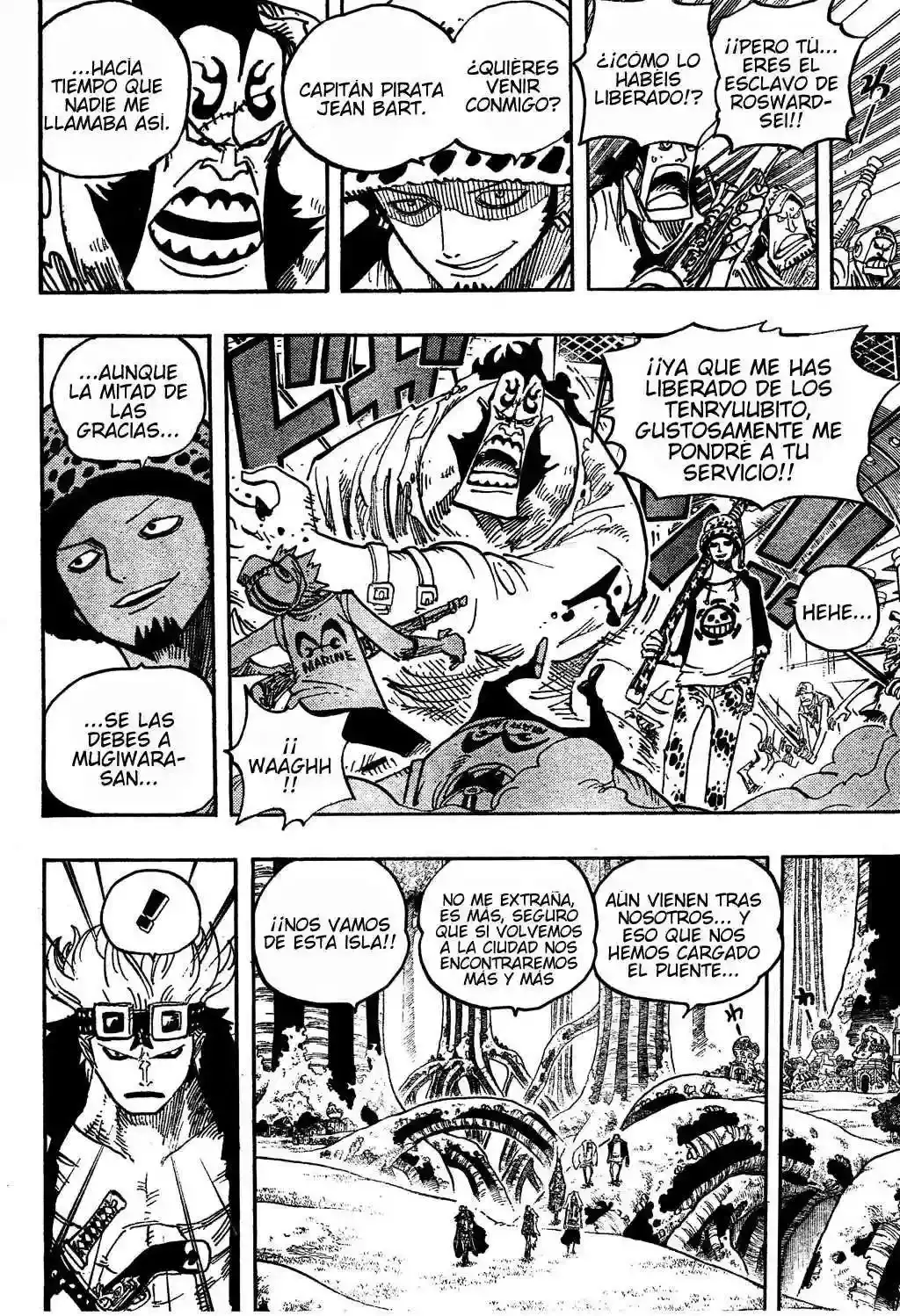 One Piece Capitulo 505 página 17