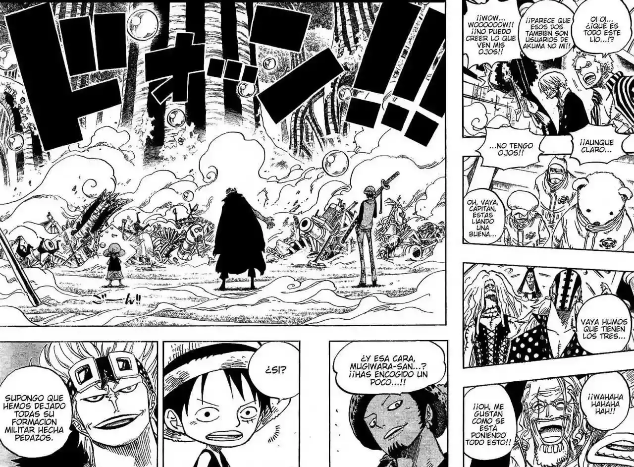 One Piece Capitulo 505 página 8