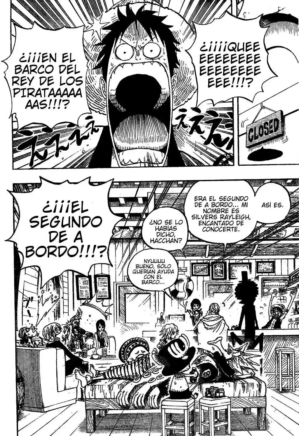 One Piece Capitulo 506 página 8