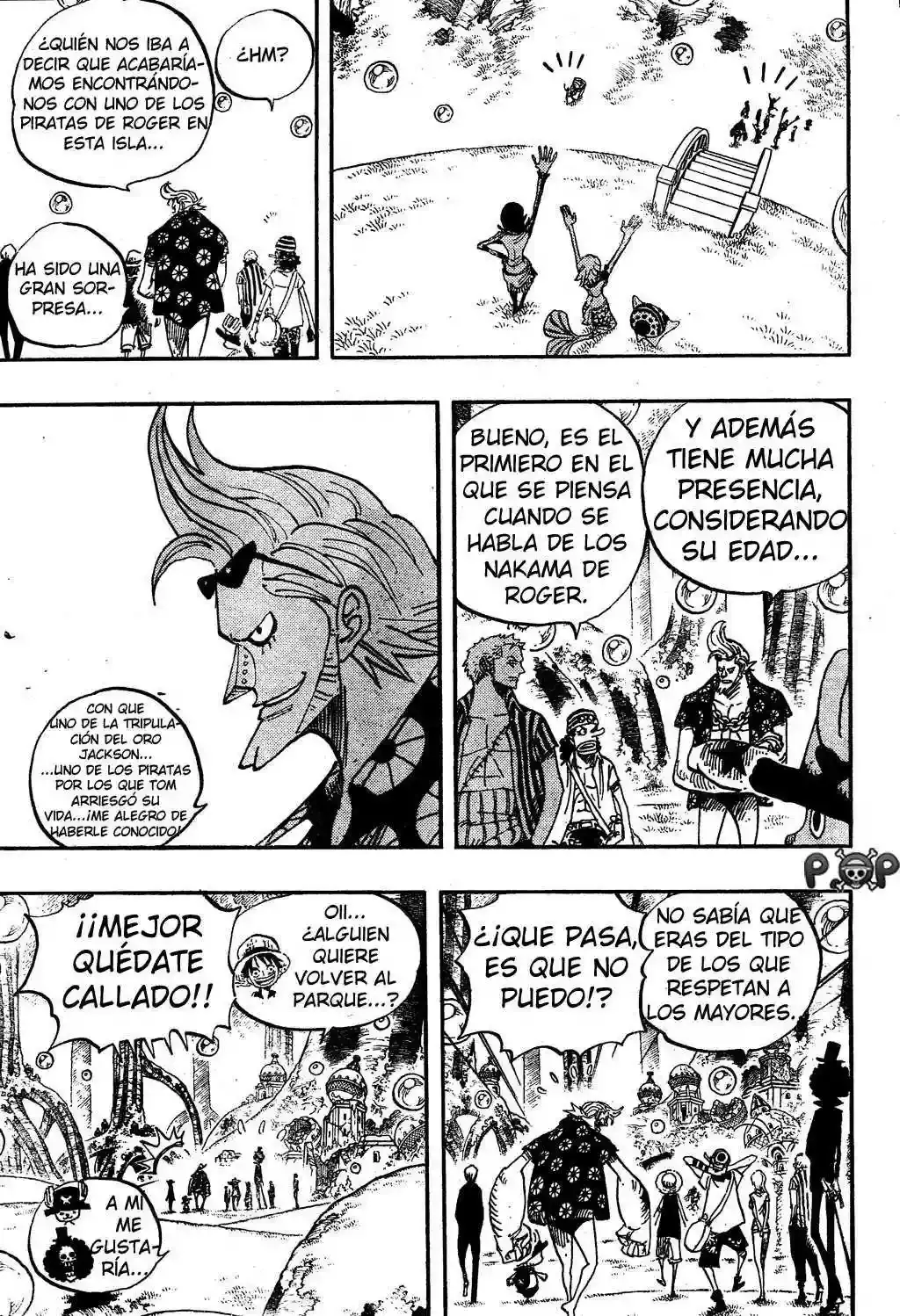 One Piece Capitulo 507 página 12