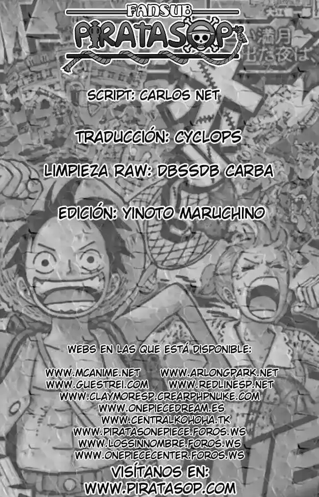 One Piece Capitulo 507 página 19