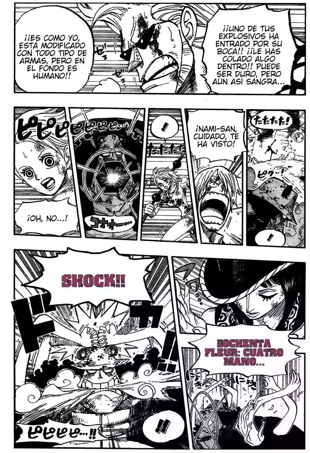 One Piece Capitulo 510 página 14