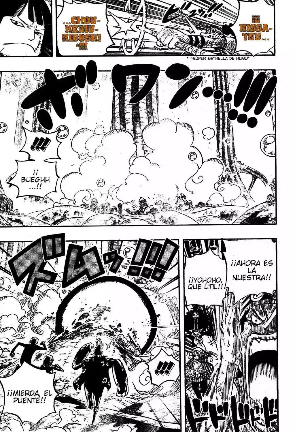 One Piece Capitulo 511 página 10