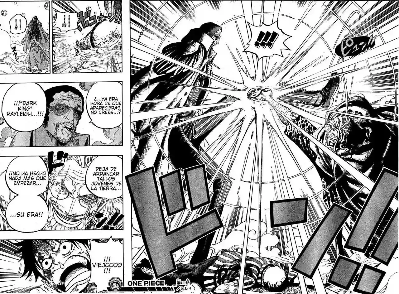 One Piece Capitulo 511 página 17