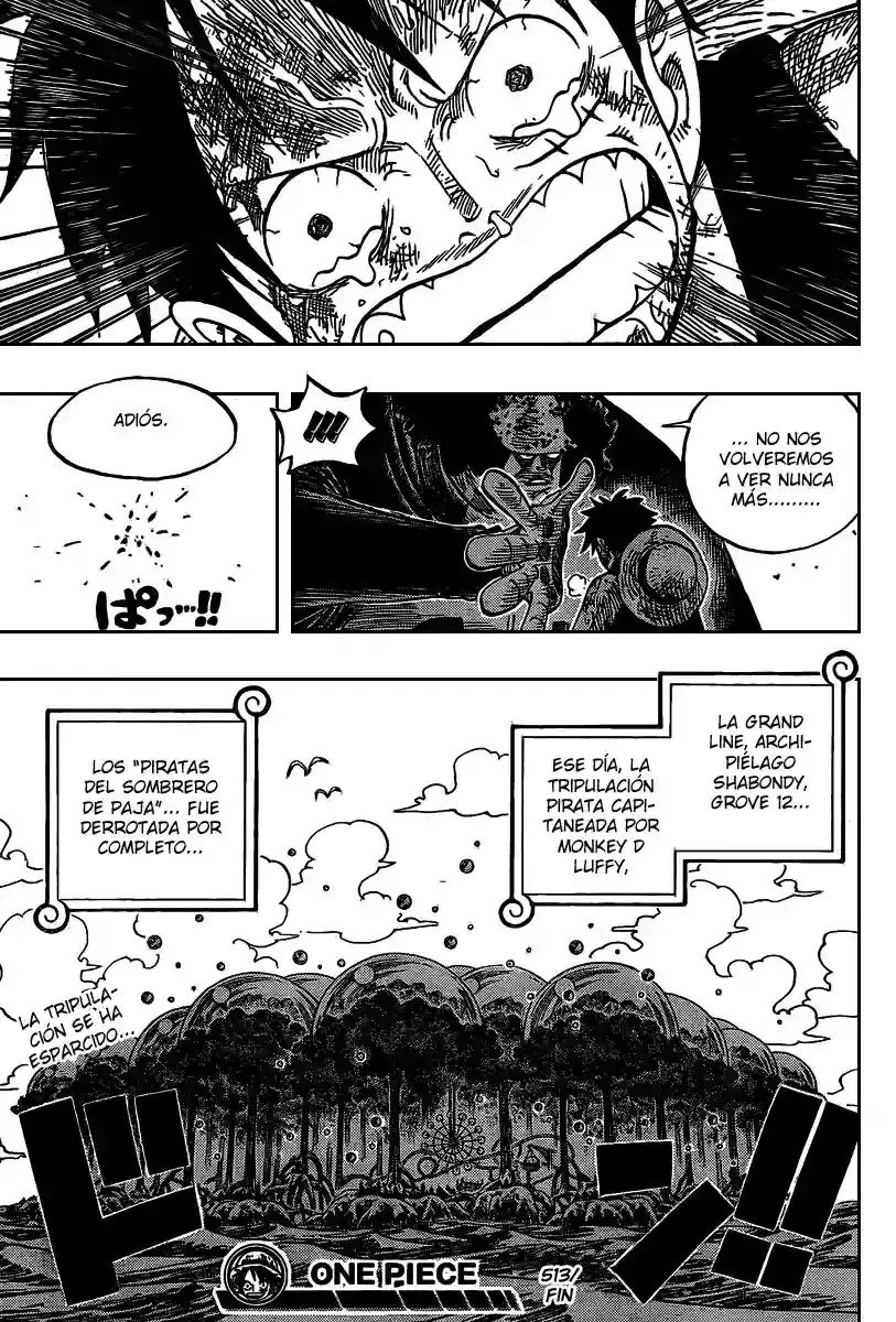 One Piece Capitulo 513 página 18