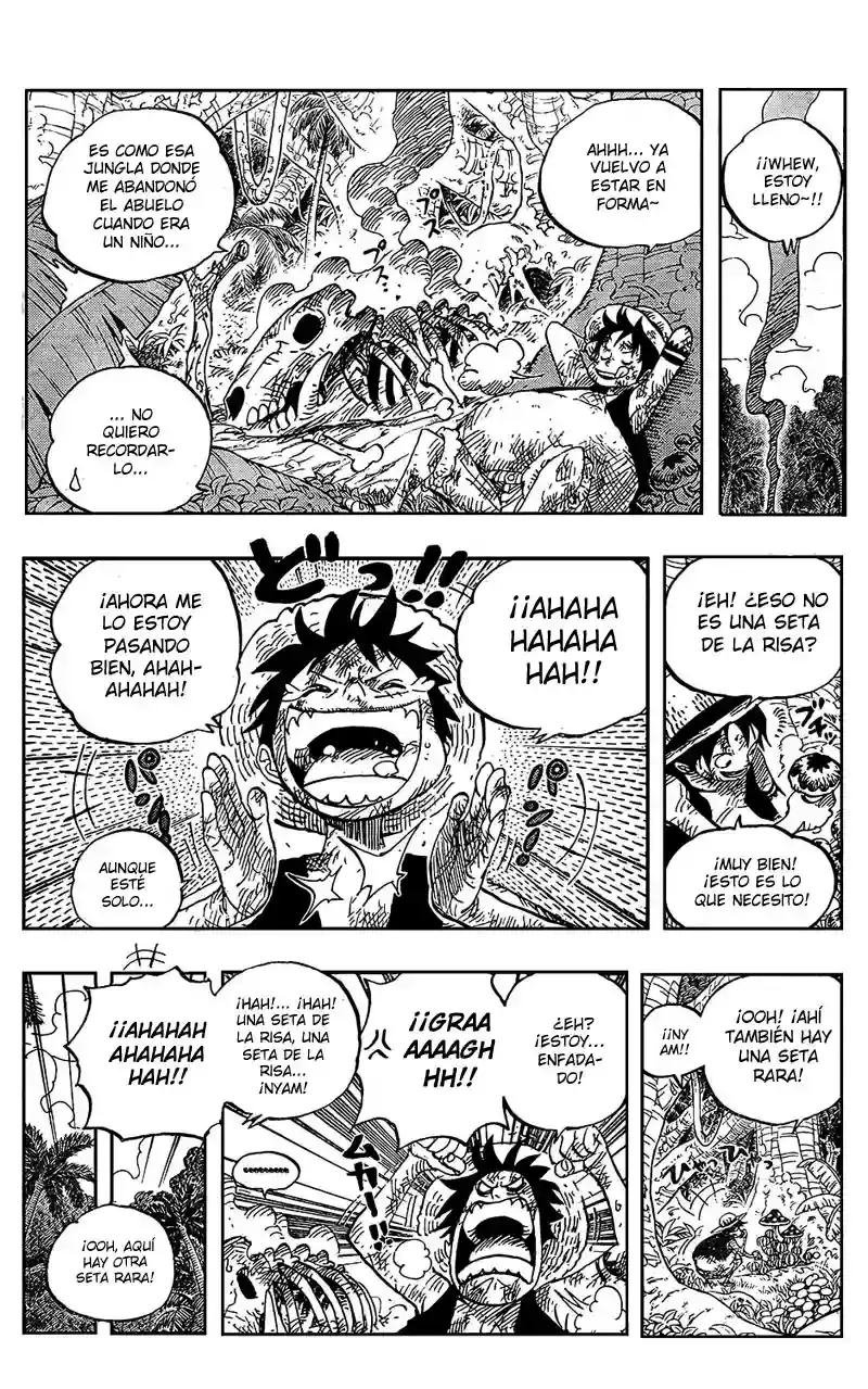 One Piece Capitulo 514 página 12