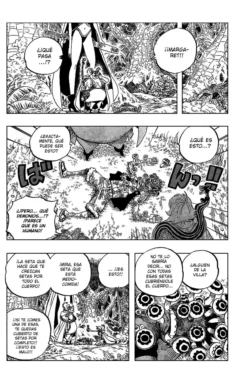 One Piece Capitulo 514 página 13