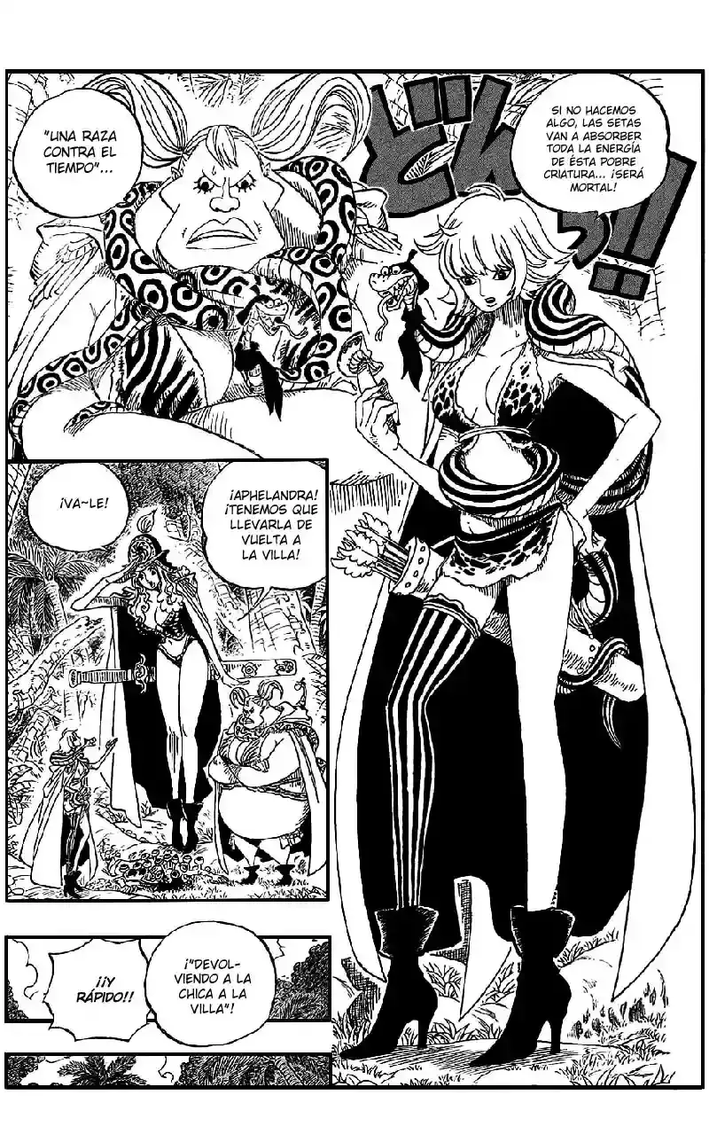 One Piece Capitulo 514 página 14