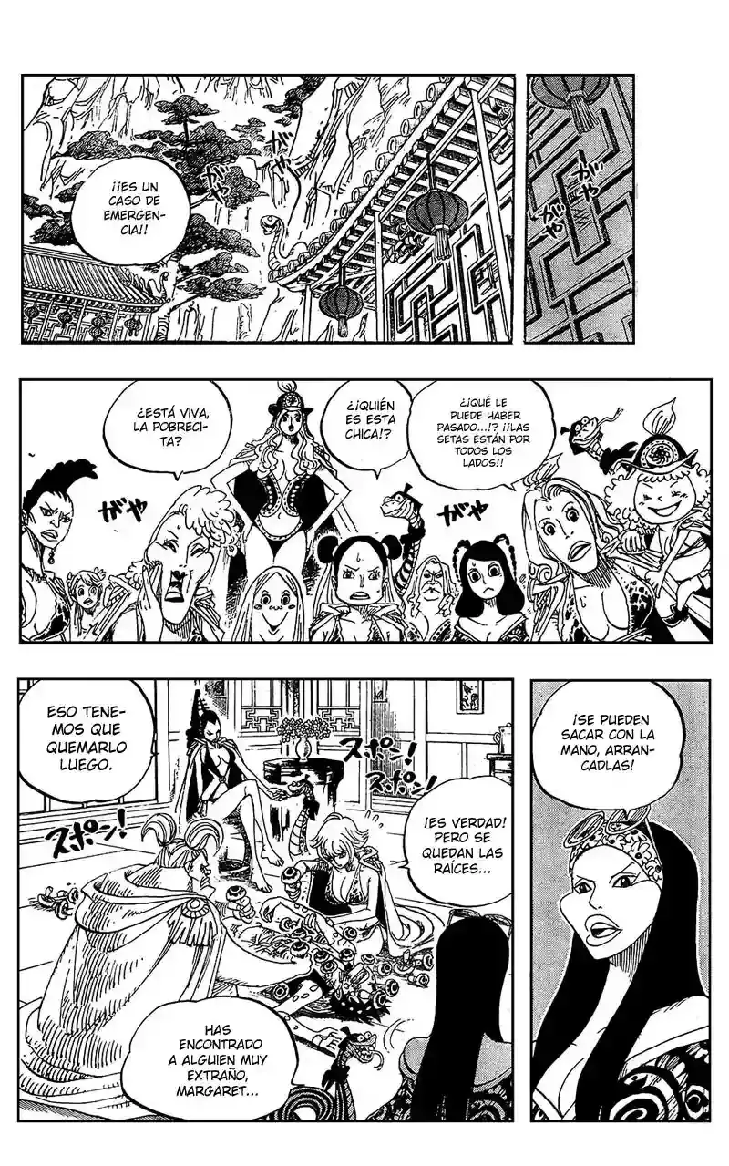 One Piece Capitulo 514 página 15