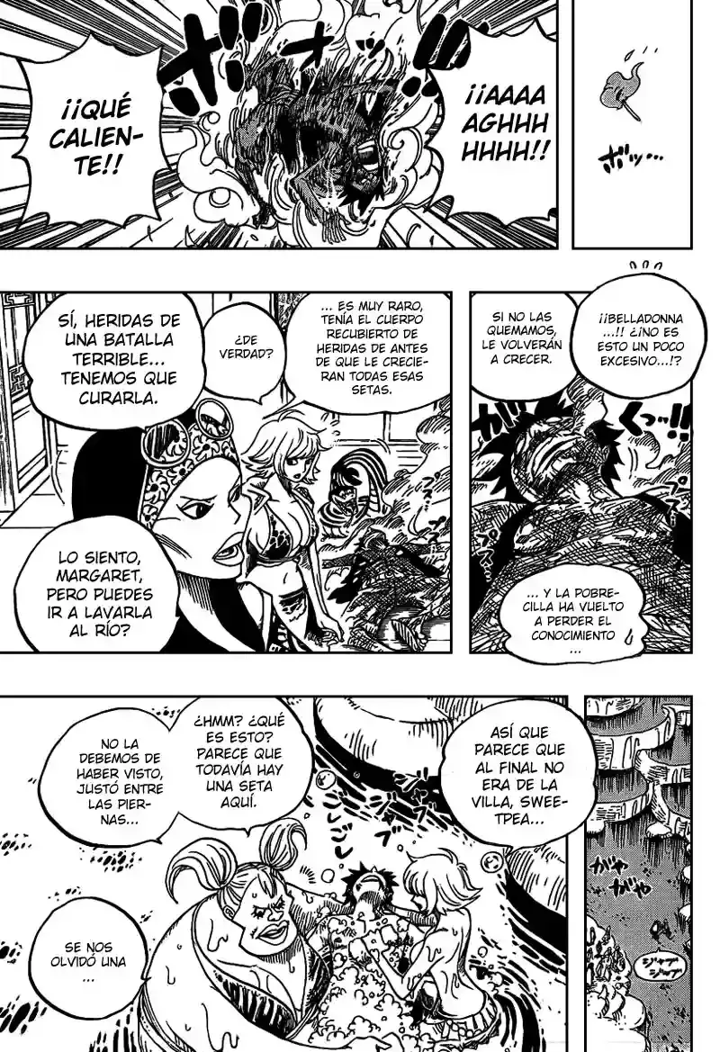 One Piece Capitulo 514 página 16