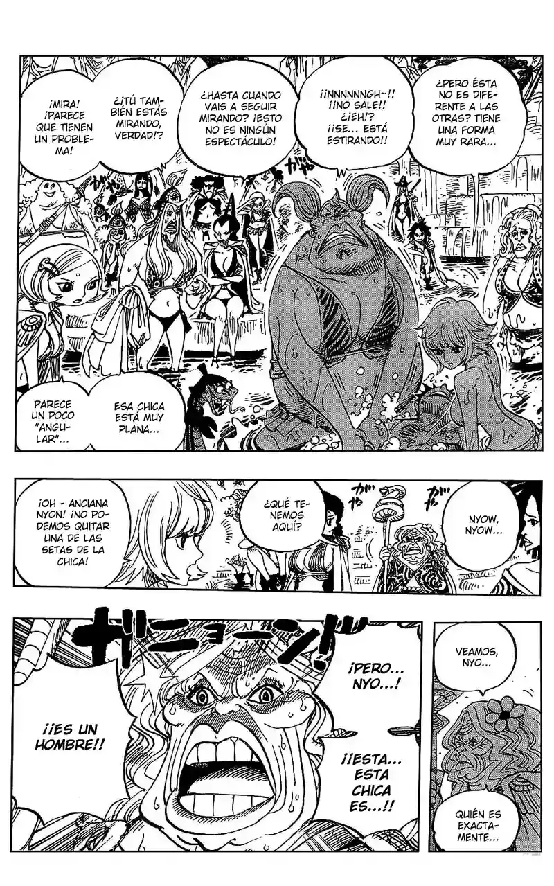 One Piece Capitulo 514 página 17