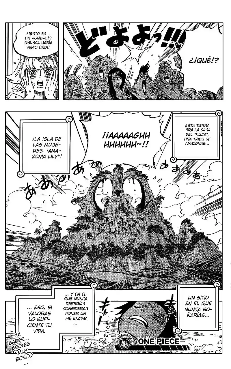 One Piece Capitulo 514 página 18
