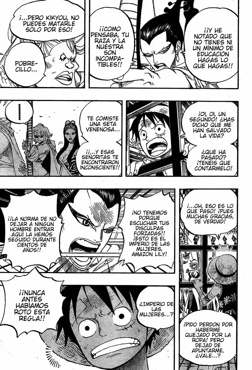 One Piece Capitulo 515 página 10