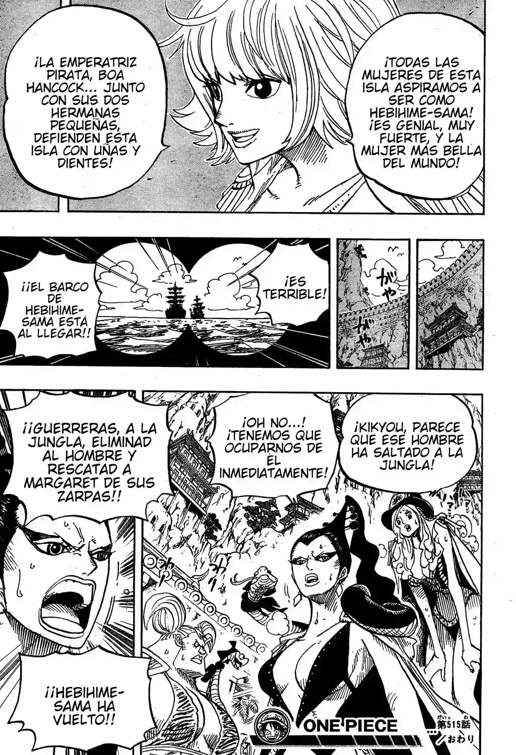 One Piece Capitulo 515 página 18