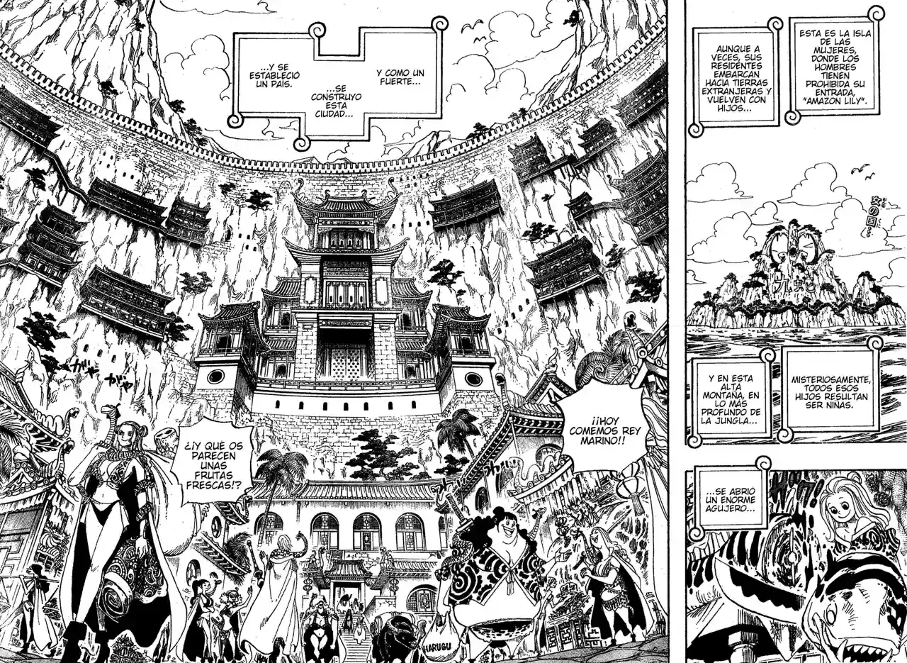 One Piece Capitulo 515 página 2