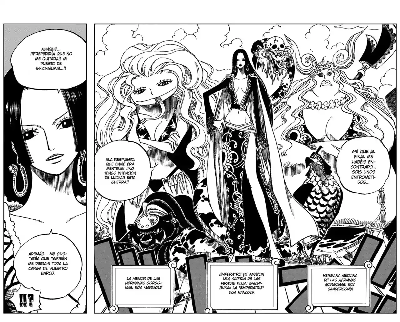 One Piece Capitulo 516 página 11