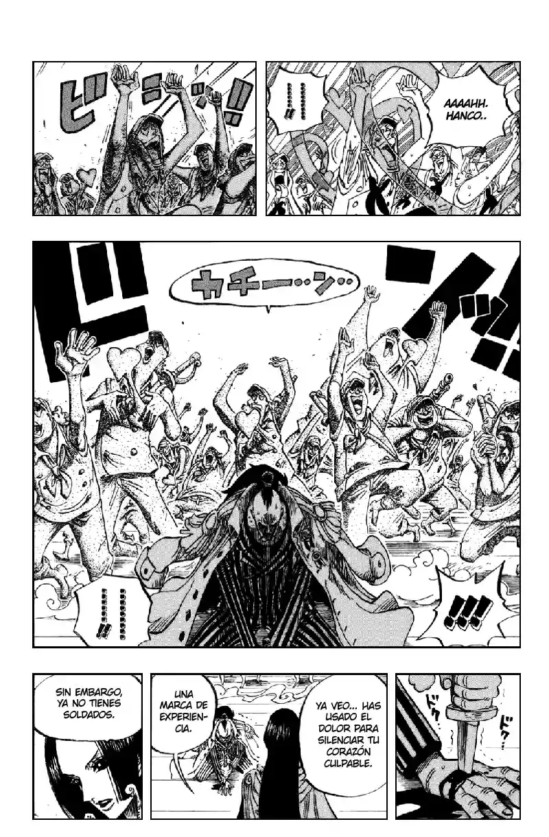 One Piece Capitulo 516 página 16