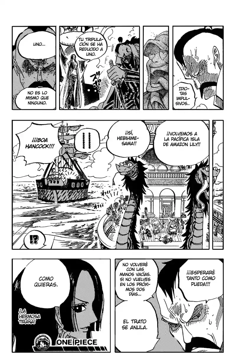 One Piece Capitulo 516 página 17