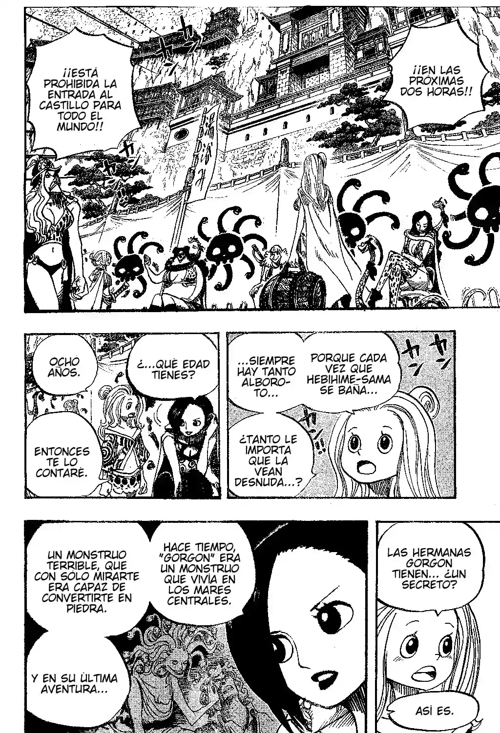 One Piece Capitulo 517 página 14