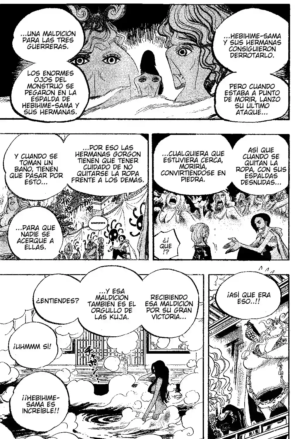 One Piece Capitulo 517 página 15