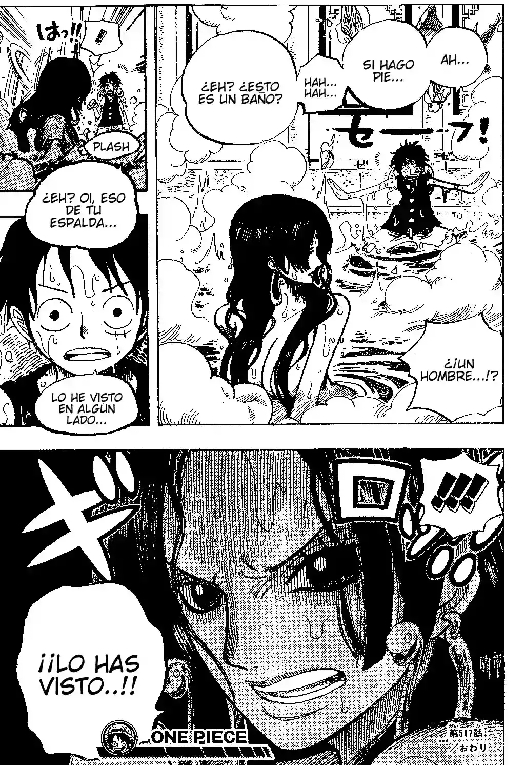 One Piece Capitulo 517 página 19