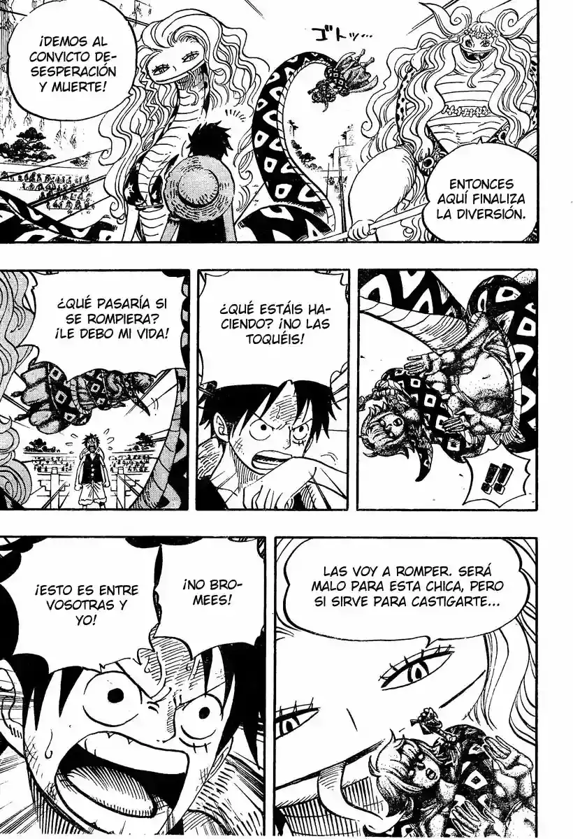 One Piece Capitulo 519 página 15