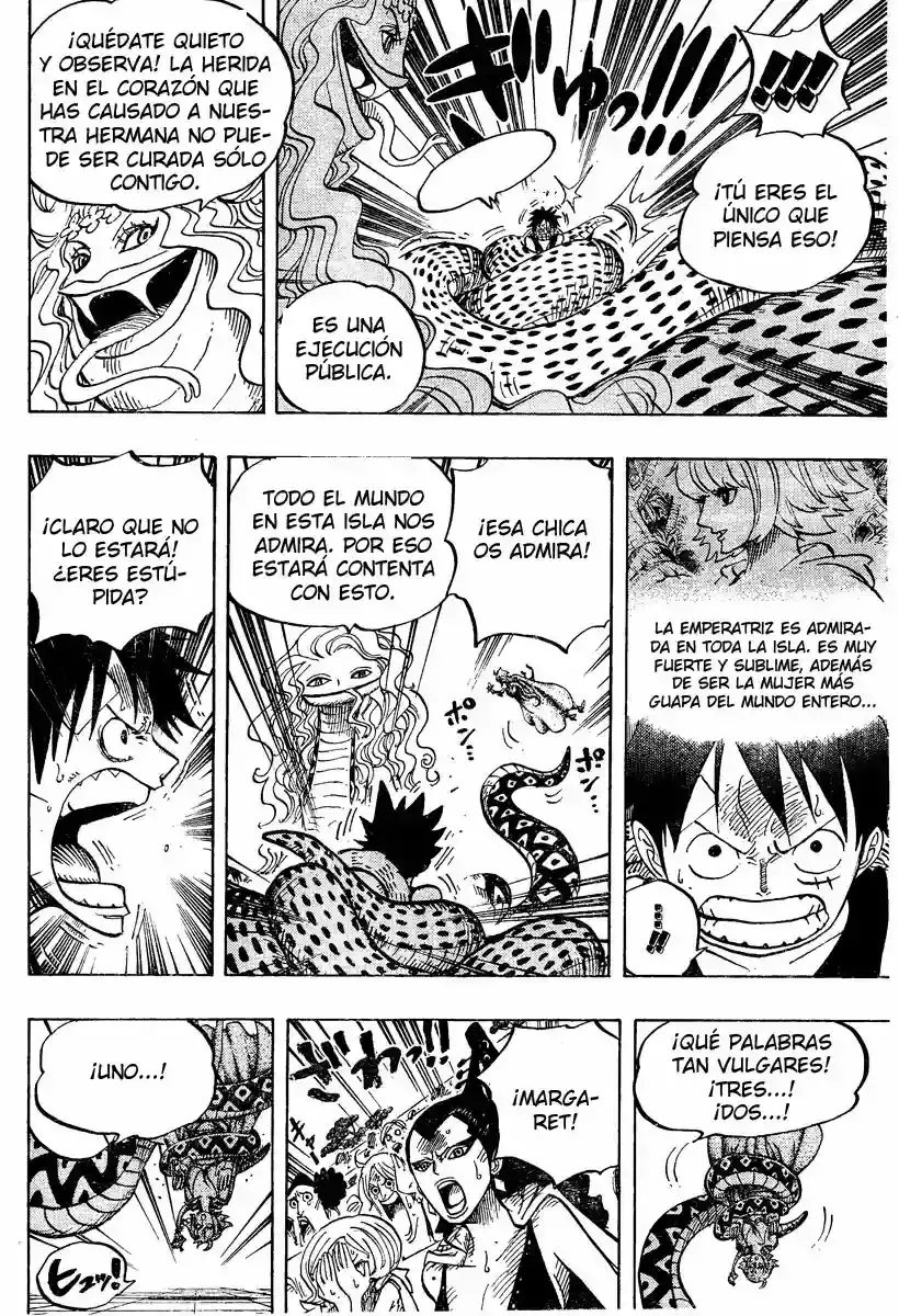 One Piece Capitulo 519 página 16