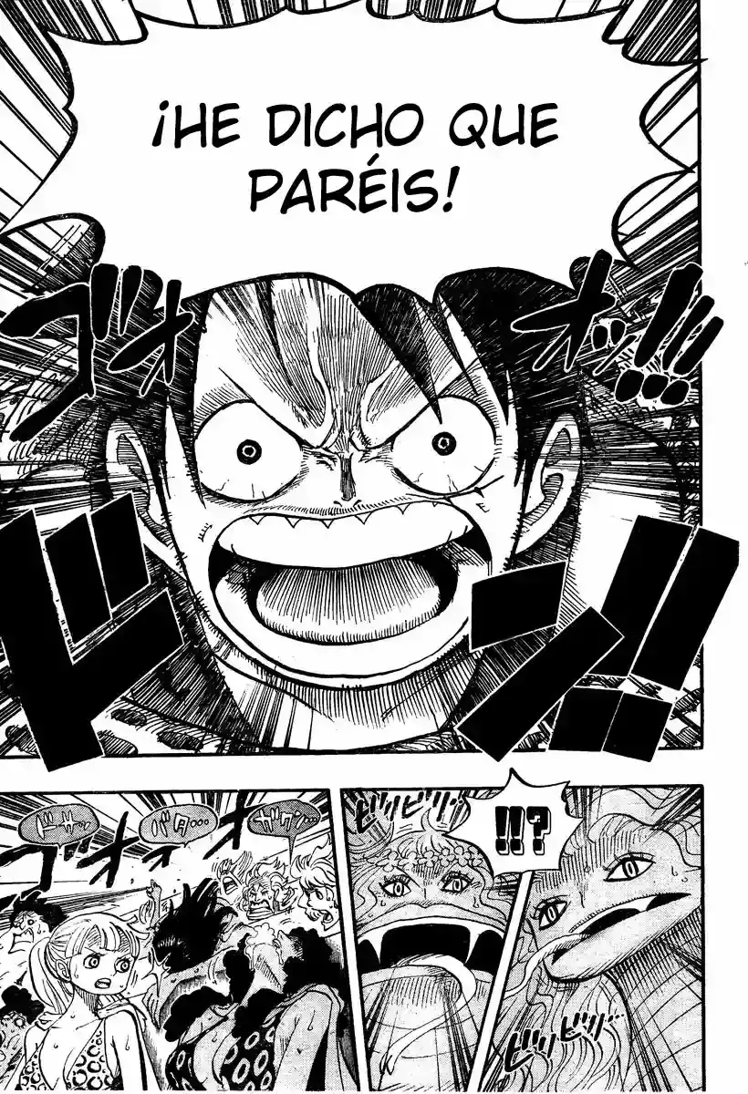 One Piece Capitulo 519 página 17