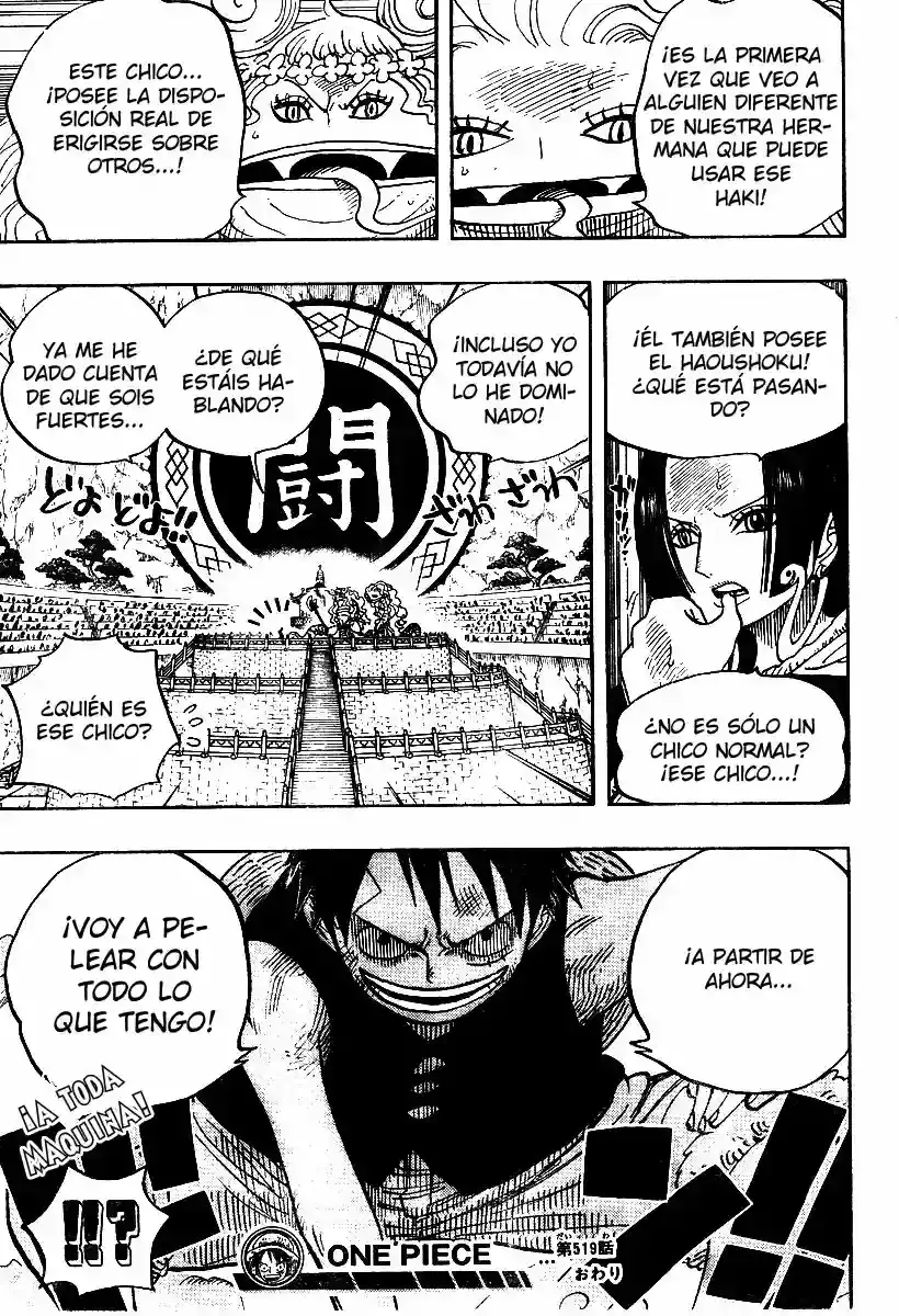 One Piece Capitulo 519 página 19