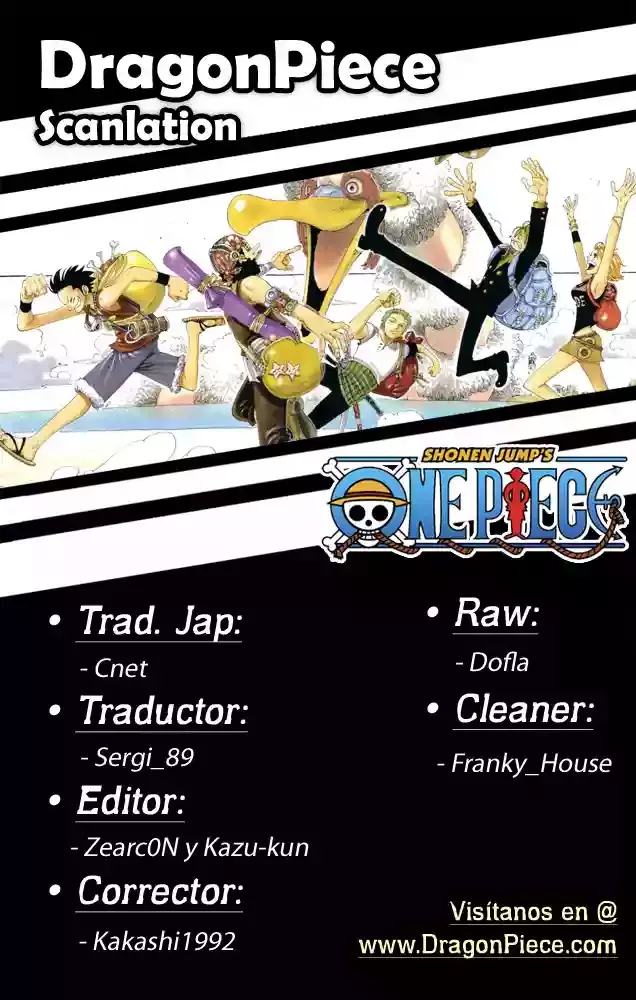 One Piece Capitulo 520 página 18