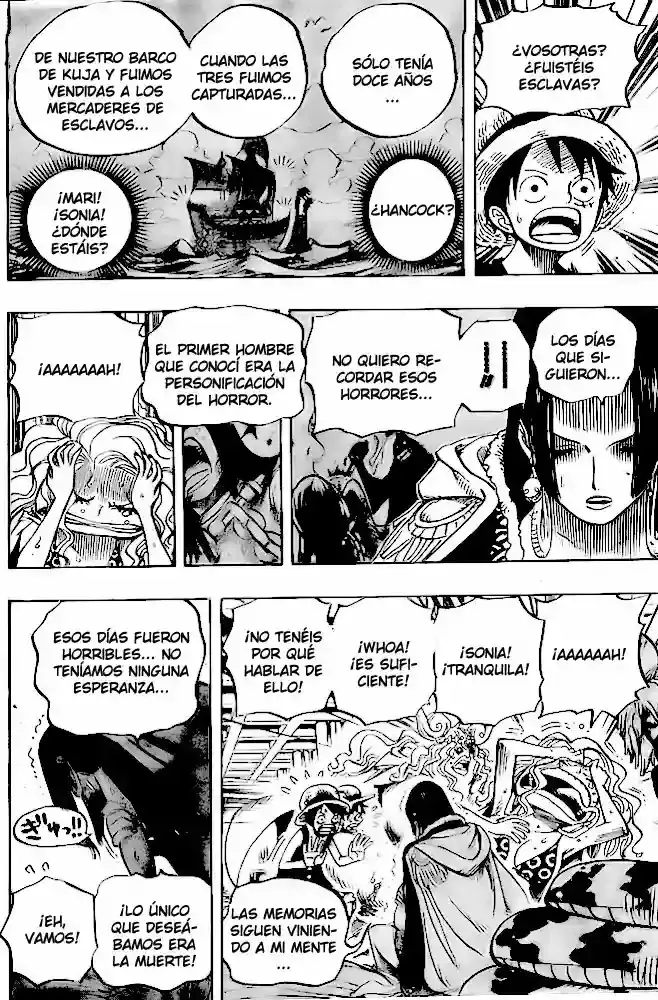 One Piece Capitulo 521 página 14