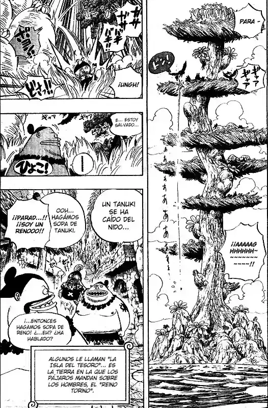 One Piece Capitulo 524 página 9