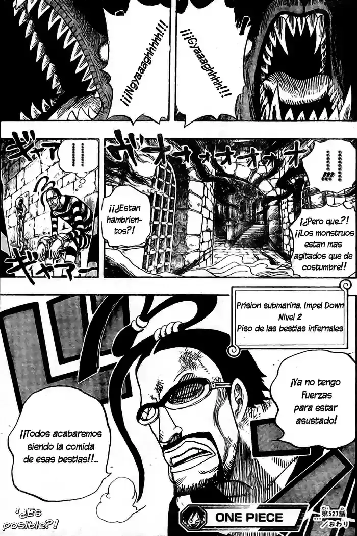 One Piece Capitulo 527 página 19