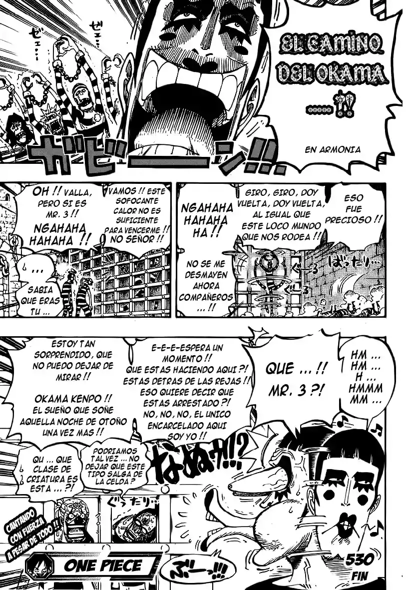 One Piece Capitulo 530 página 19
