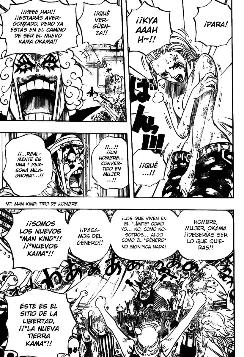 One Piece Capitulo 537 página 15