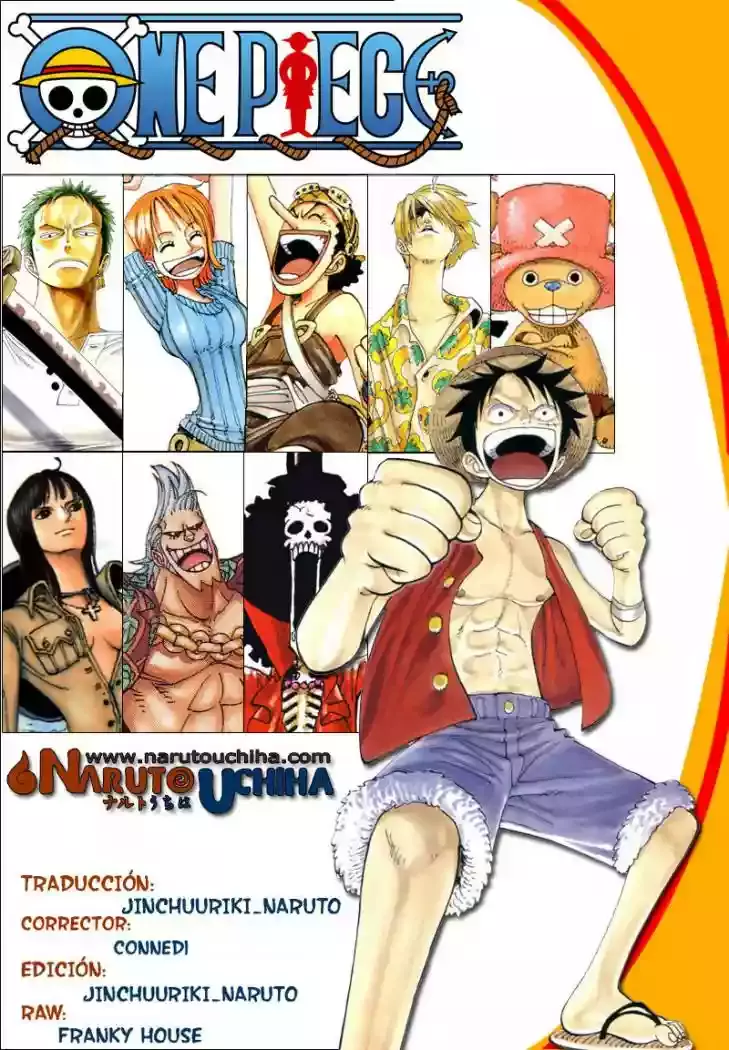 One Piece Capitulo 542 página 17