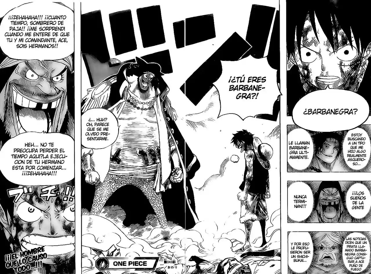 One Piece Capitulo 543 página 14