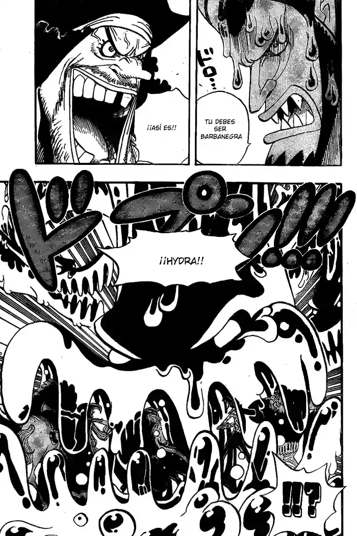 One Piece Capitulo 544 página 17