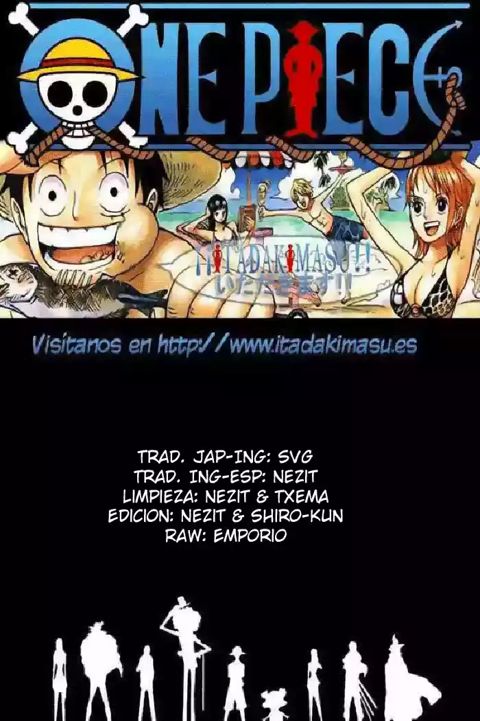 One Piece Capitulo 546 página 17