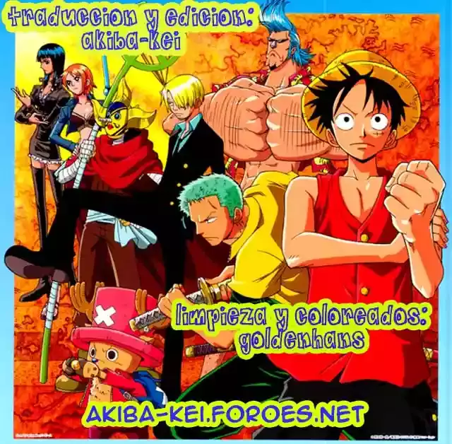 One Piece Capitulo 552 página 17