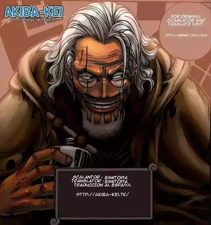 One Piece Capitulo 555 página 14