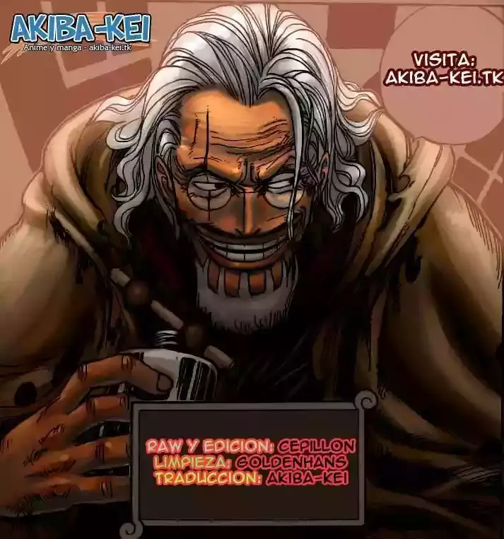 One Piece Capitulo 556 página 13