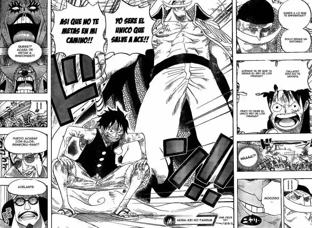 One Piece Capitulo 557 página 14