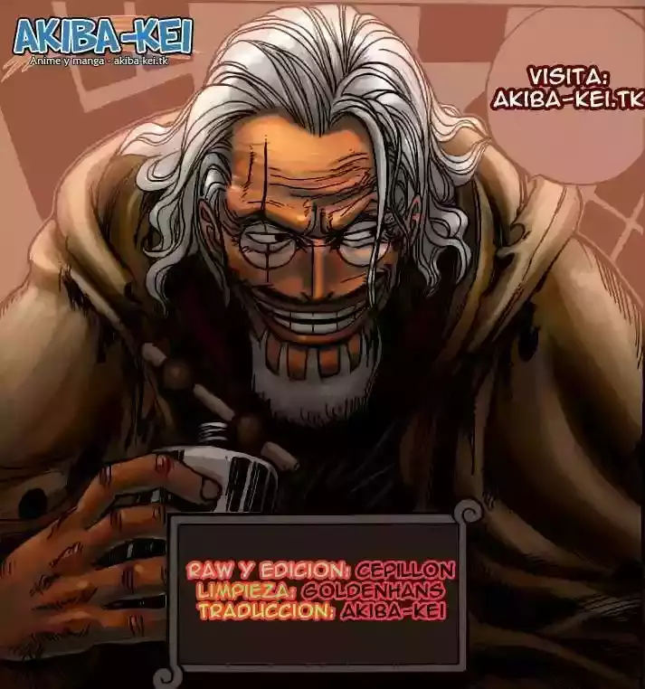 One Piece Capitulo 557 página 15