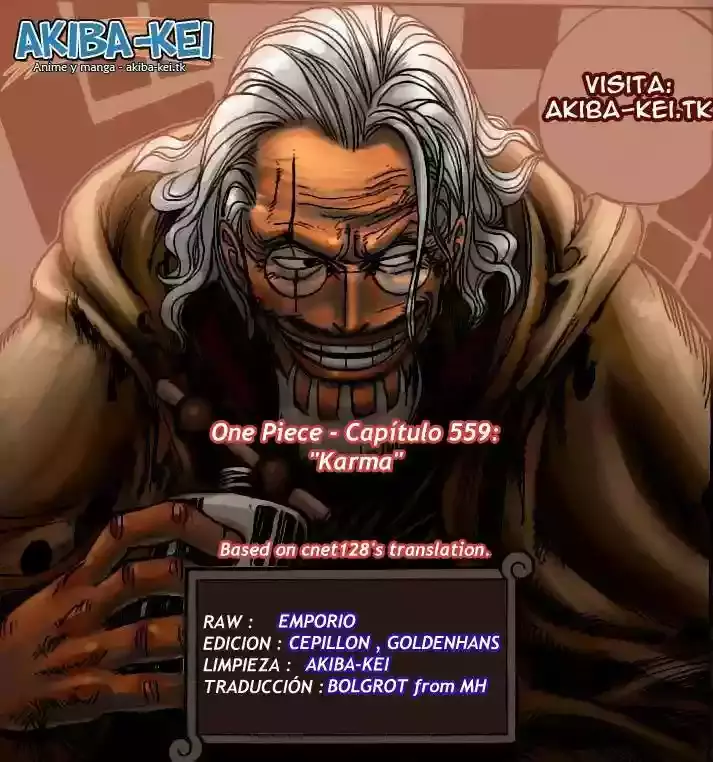 One Piece Capitulo 559 página 16