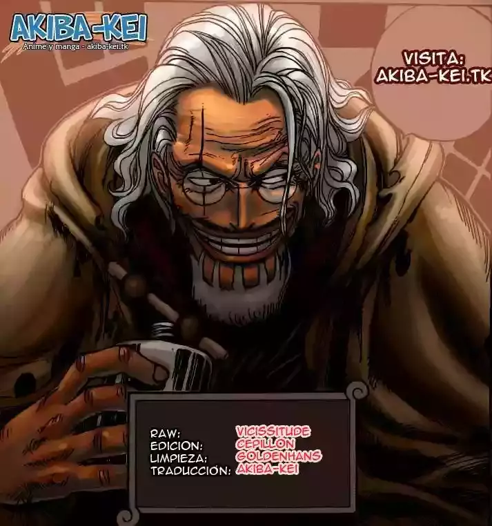 One Piece Capitulo 561 página 17