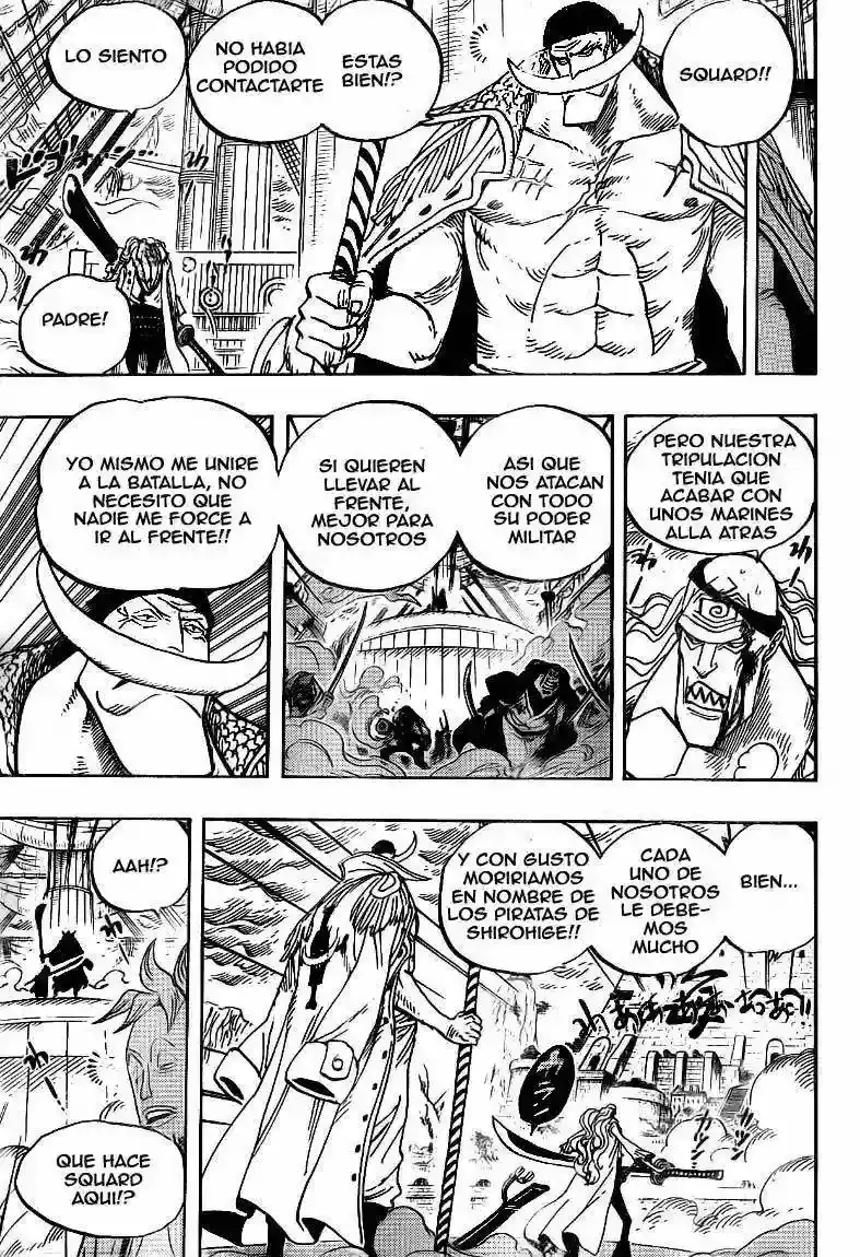One Piece Capitulo 562 página 14