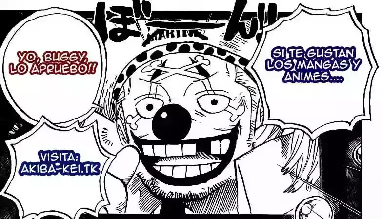 One Piece Capitulo 562 página 17