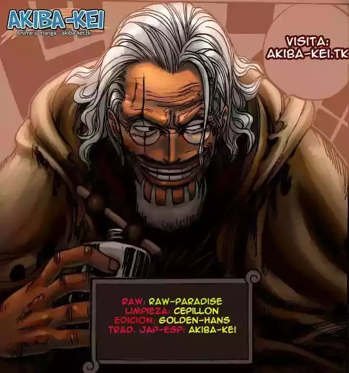 One Piece Capitulo 566 página 15