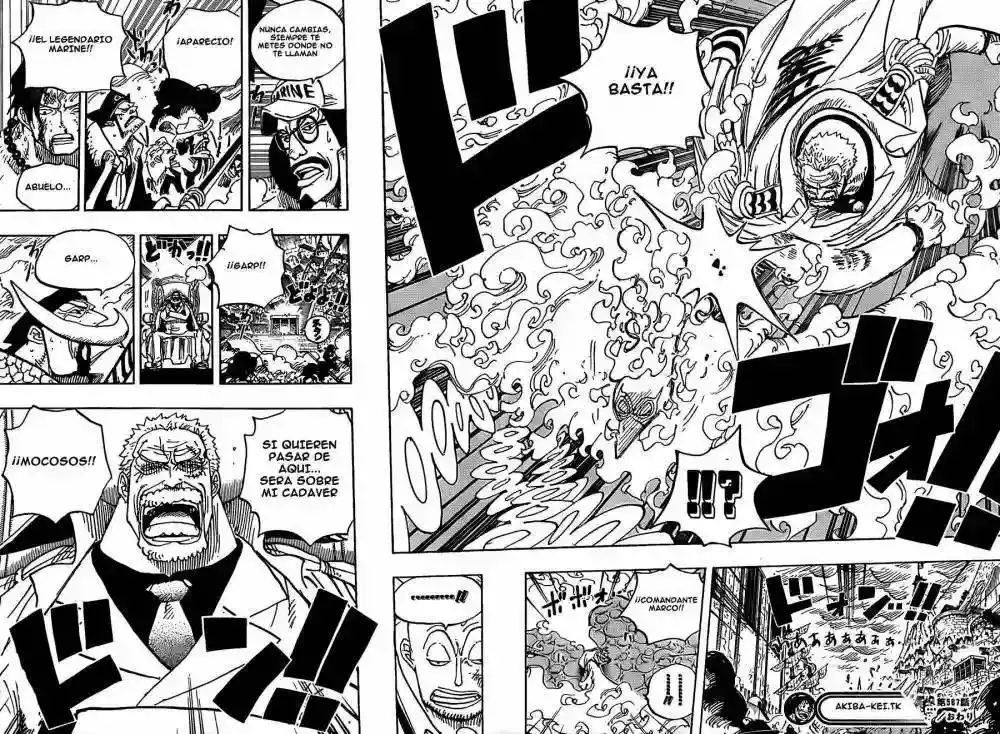 One Piece Capitulo 567 página 19